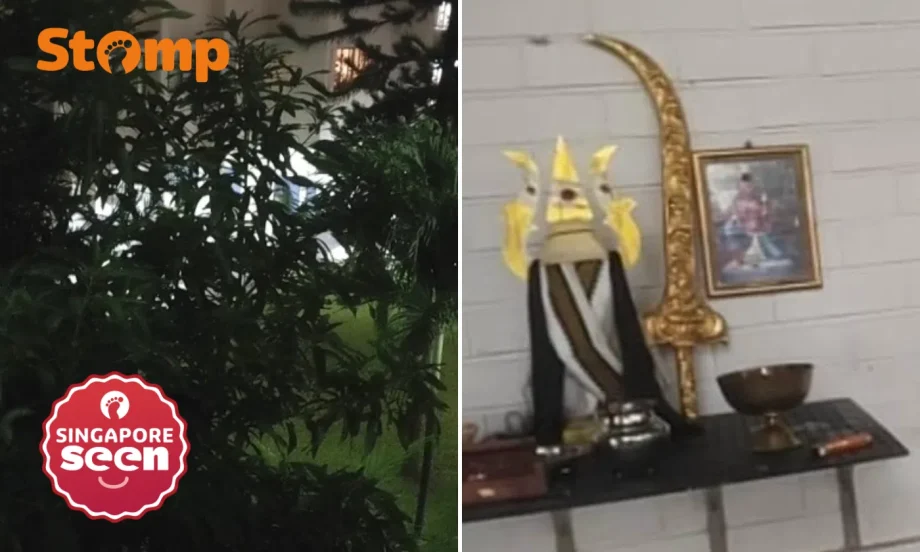 Serangoon North resident calls cops over loud music, concerned by ‘weapon’ outside flat Serangoon North resident calls cops over loud music, concerned by ‘weapon’ outside flat