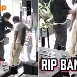 Muay thai studio boss wants culprit who ripped his display in Grid mall to take responsibility