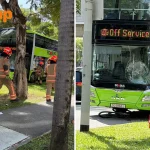 Cyclist, 39, dies after getting trapped under wheels of bus in Admiralty Drive accident