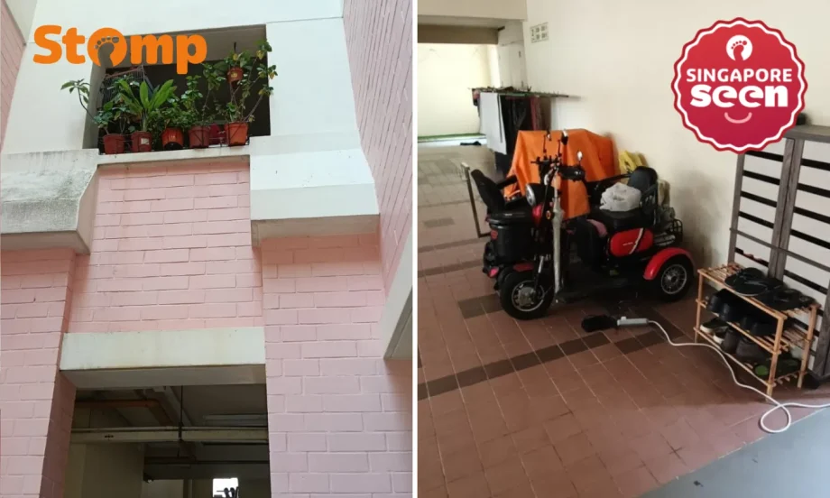 Woodlands resident risks neighbours’ safety by charging PMA in corridor, placing plants on ledge Woodlands resident risks neighbours’ safety by charging PMA in corridor, placing plants on ledge