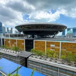 Why are there new rules on psychiatric expert evidence in criminal court cases?