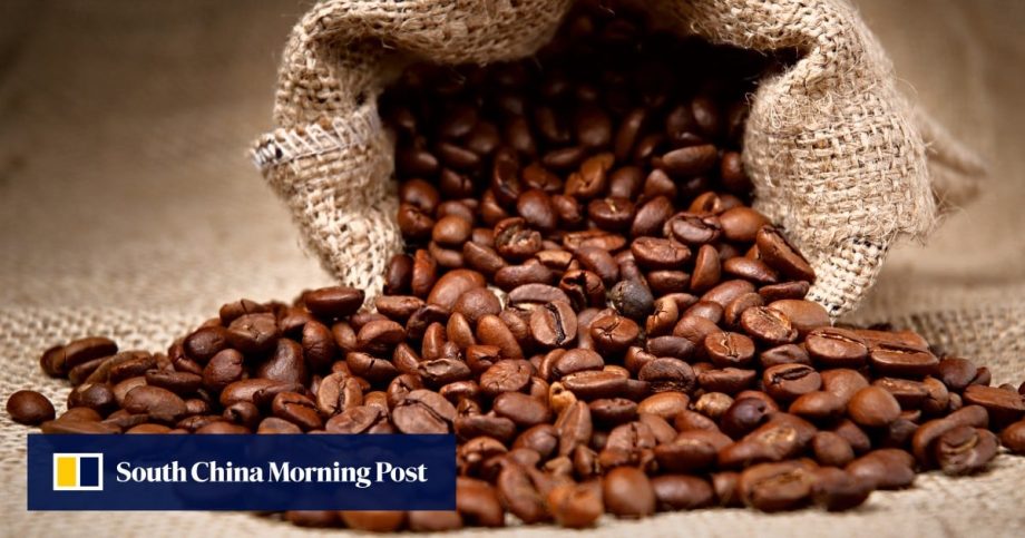 How to use coffee beans to flavour food and drinks, from ice cream and lamb loin to vodka