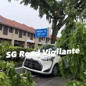 Tree branch snaps, falls on car in Jalan Besar