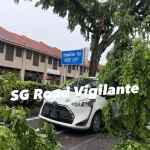 Tree branch snaps, falls on car in Jalan Besar