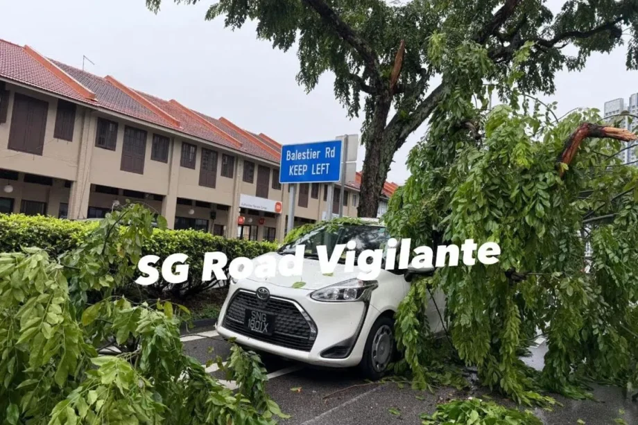 Tree branch snaps, falls on car in Jalan Besar