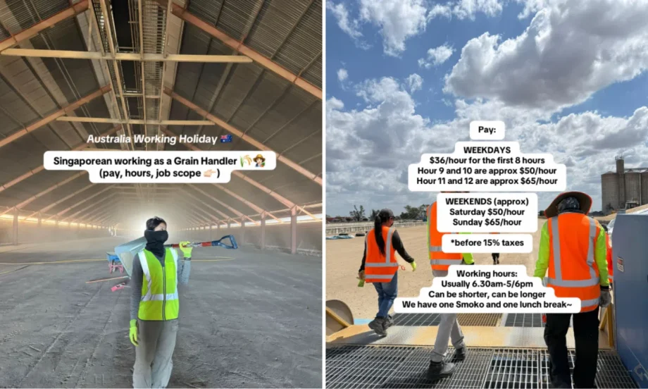 S’porean recalls snake encounters, 12-hour shifts while on working holiday in Australia: ‘Not for the faint of heart’