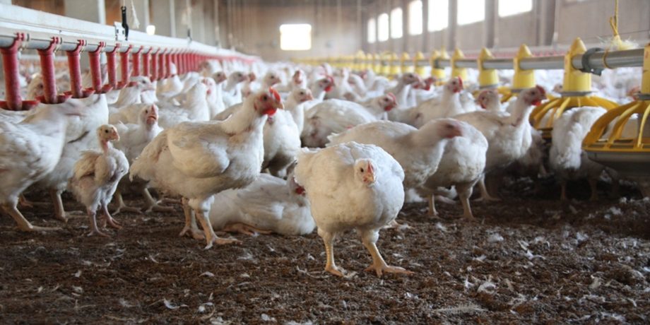 Colombian Teens Win a Global Robotics Award in Singapore