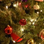 Foster Good: Join the MileLion’s Christmas Fundraiser 2025