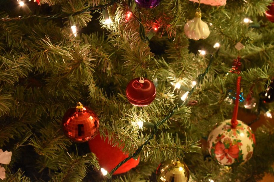 Foster Good: Join the MileLion’s Christmas Fundraiser 2025