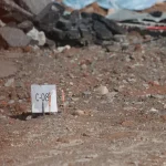 LTA seeks descendants of four people in unmarked graves discovered in Bukit Timah