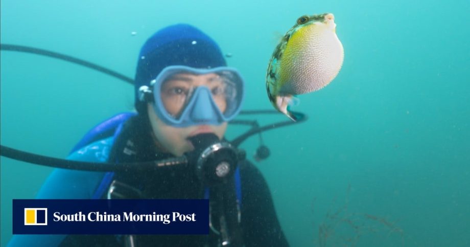 How Hong Kong documentary Never Too Late shows the healing power of the city’s nature
