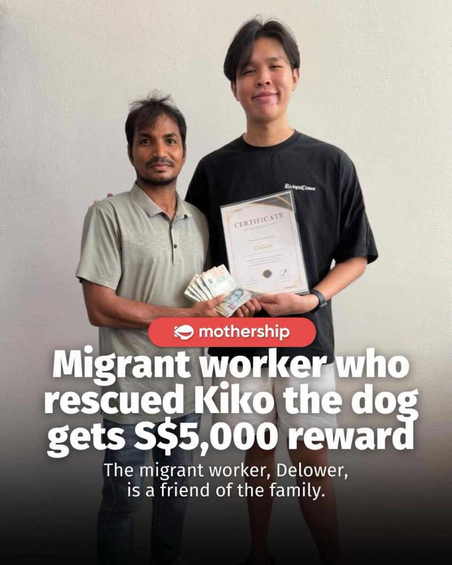 @mothershipsg Kiko escaped from daycare on Dec. 7, and the Teh family began sear… @mothershipsg Kiko escaped from daycare on Dec. 7, and the Teh family began sear…