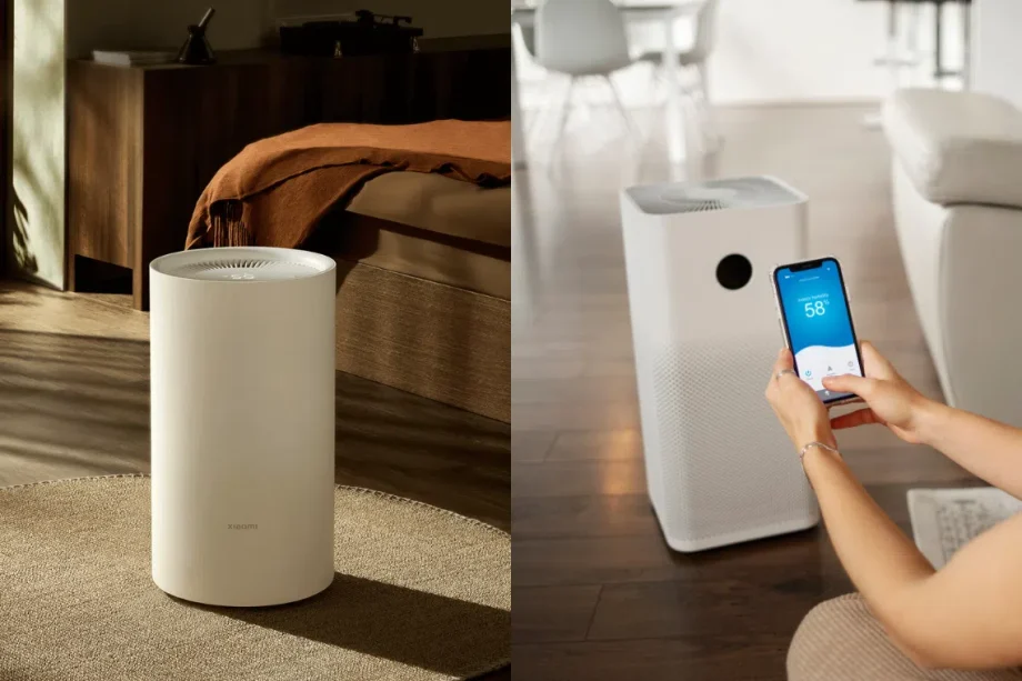 The best dehumidifier deals for your home during the rainy season