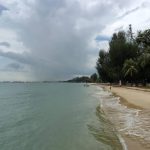 ‘Everyone was terrified’: Body washed up at East Coast Park found by girls taking photos, Singapore News