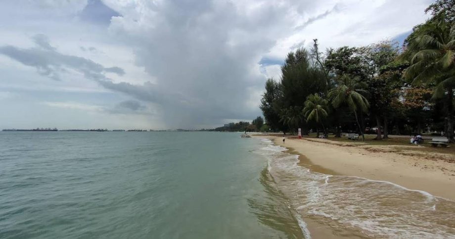 ‘Everyone was terrified’: Body washed up at East Coast Park found by girls taking photos, Singapore News