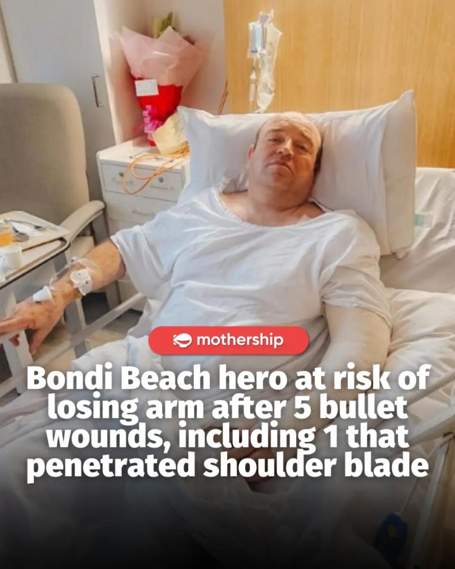 @mothershipsg Donations for Bondi Beach hero Ahmed el Ahmed, the man who helped … @mothershipsg Donations for Bondi Beach hero Ahmed el Ahmed, the man who helped …