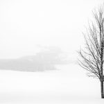 I Do This When December Feels Lonely