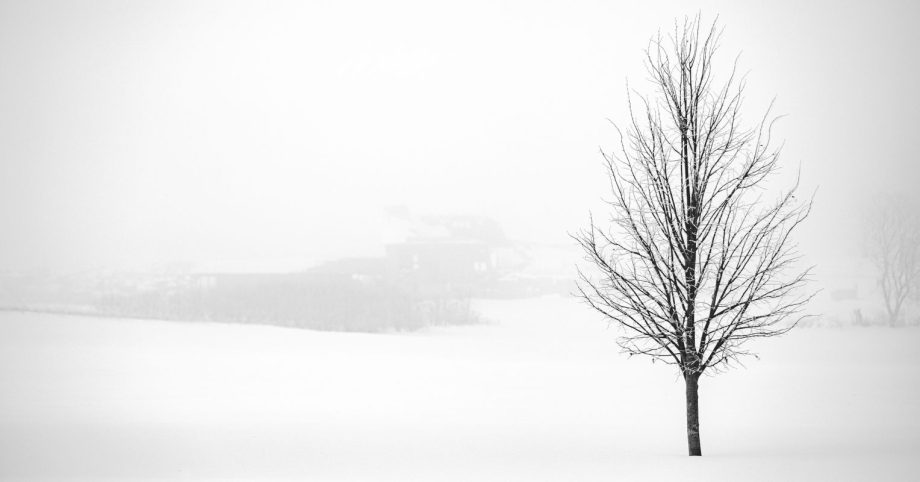 I Do This When December Feels Lonely