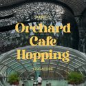 @the.sg.nomad Experience the vibrant pulse of Orchard Road @orchardroad.sg, wher…