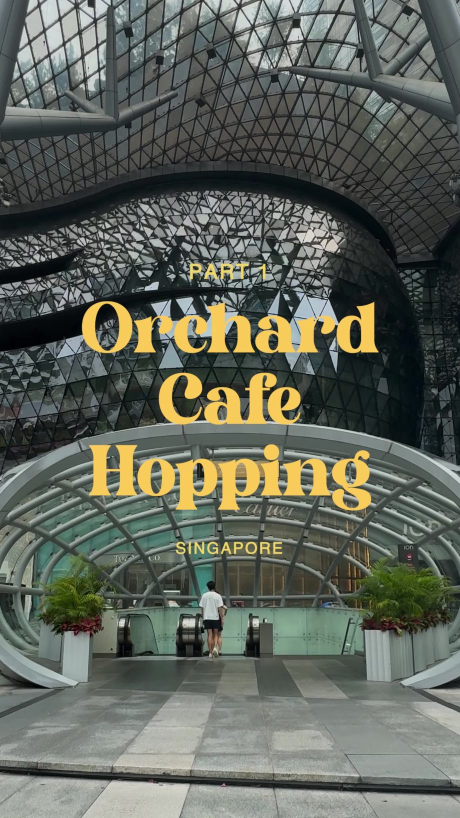 @the.sg.nomad Experience the vibrant pulse of Orchard Road @orchardroad.sg, wher… @the.sg.nomad Experience the vibrant pulse of Orchard Road @orchardroad.sg, wher…