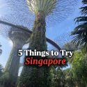 @tiktokwithanastasia 5 things to try in Singapore! My favorite part was chope-in…