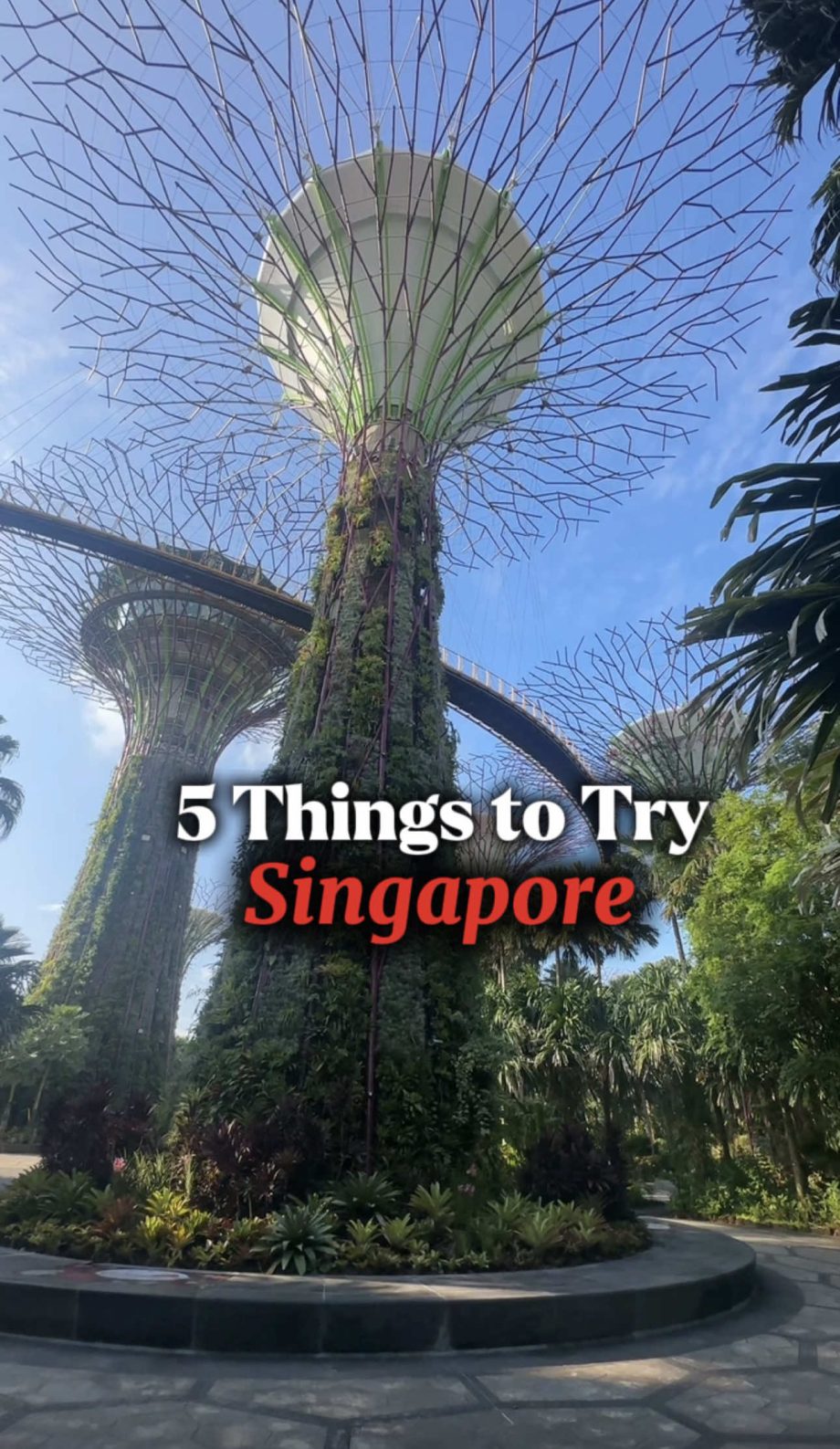 @tiktokwithanastasia 5 things to try in Singapore! My favorite part was chope-in…