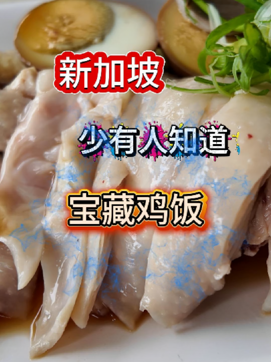@havendivinetongue 新加坡宝藏鸡饭！千万别让游客知道！#新加坡美食 #sgfoodie #探店 #鸡饭  …