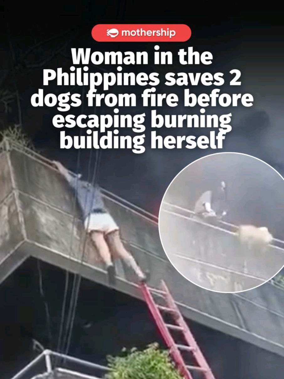 @mothershipsg so brave People on the ground had urged the woman to flee as fire… @mothershipsg so brave People on the ground had urged the woman to flee as fire…