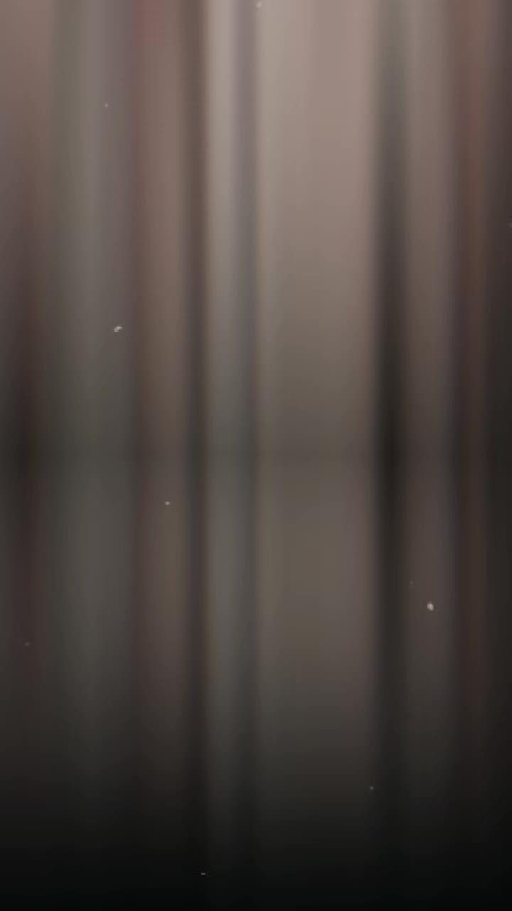 People On TikTok People On TikTok