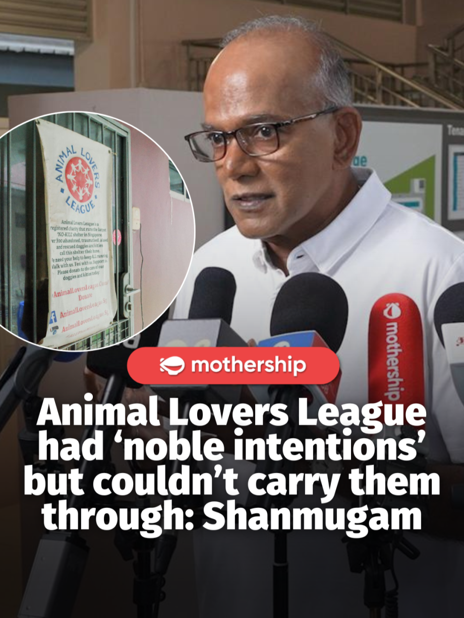 @mothershipsg No-kill shelter Animal Lovers League (ALL) was recently put under … @mothershipsg No-kill shelter Animal Lovers League (ALL) was recently put under …