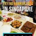 @travelwithshankeli Let’s try some Singapore Hawker Center Food! We went to the …