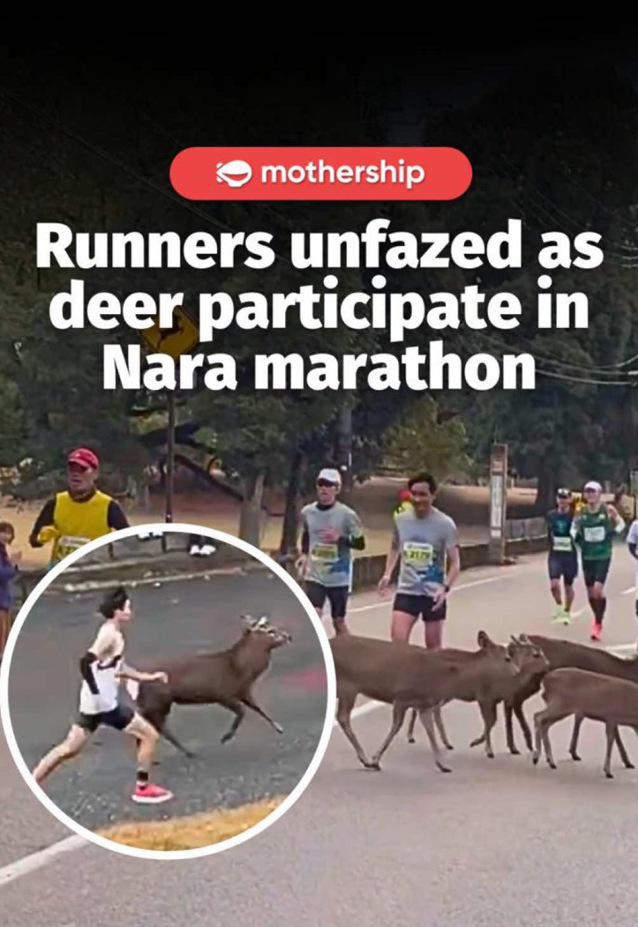 @mothershipsg nani? bojio leh #japan #marathon #deer  …