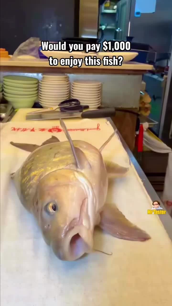 @street_food368 1000$ Empurau Fish at Seafood by the River, in Singapore. #empur…