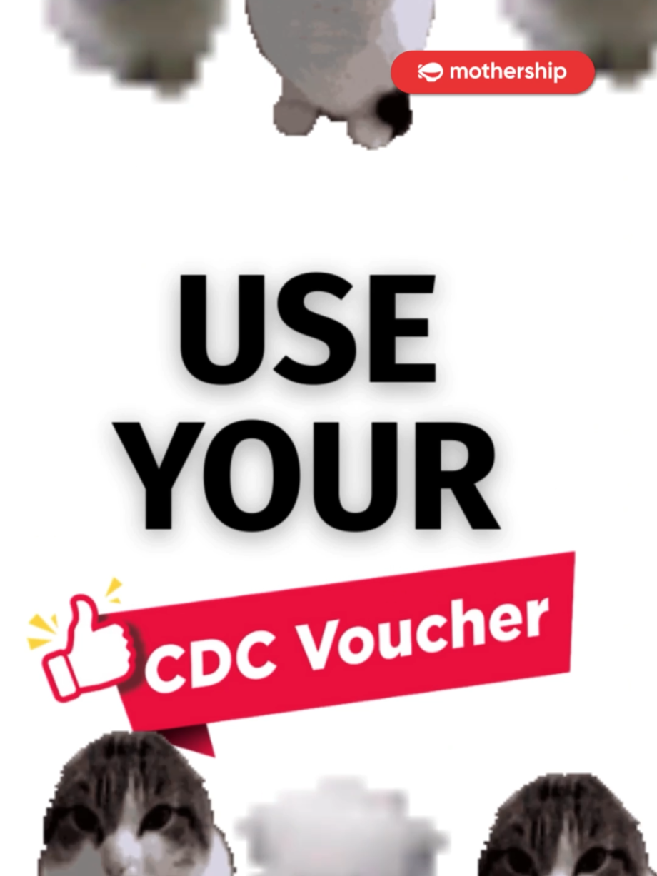 @mothershipsg you have a few days left!! #tiktoksg #fyp …