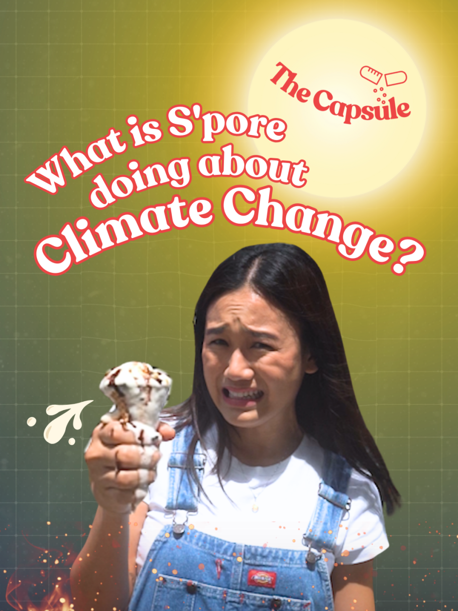 @mothershipsg Protecting the planet means protecting my ice cream  #sgnews #tikt…