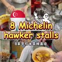 @nextstation1965sg SG Michelin Hawker Stalls#foodies #singapore #foryou #fyp #fy…