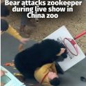 @mothershipsg In a statement, Hangzhou Safari Park expressed their apologies for…