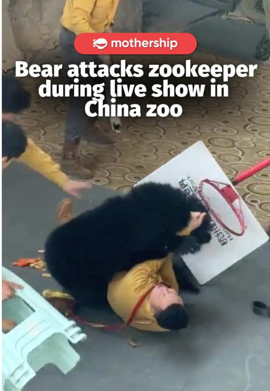 @mothershipsg In a statement, Hangzhou Safari Park expressed their apologies for… @mothershipsg In a statement, Hangzhou Safari Park expressed their apologies for…