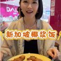 @judyliu8631 新加坡商场里的椰浆饭 有肉有蛋有鱼有饭 有菜有辣椒 一份.5  你觉得贵吗 #新加坡 #新加坡美食 #新加坡物价 #椰浆饭 #新加…