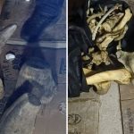 Joint operation by Singapore and South Africa leads to 55kg rhino horn seizure in Johannesburg