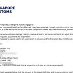 Singapore Customs warns of two new parcel scam variants