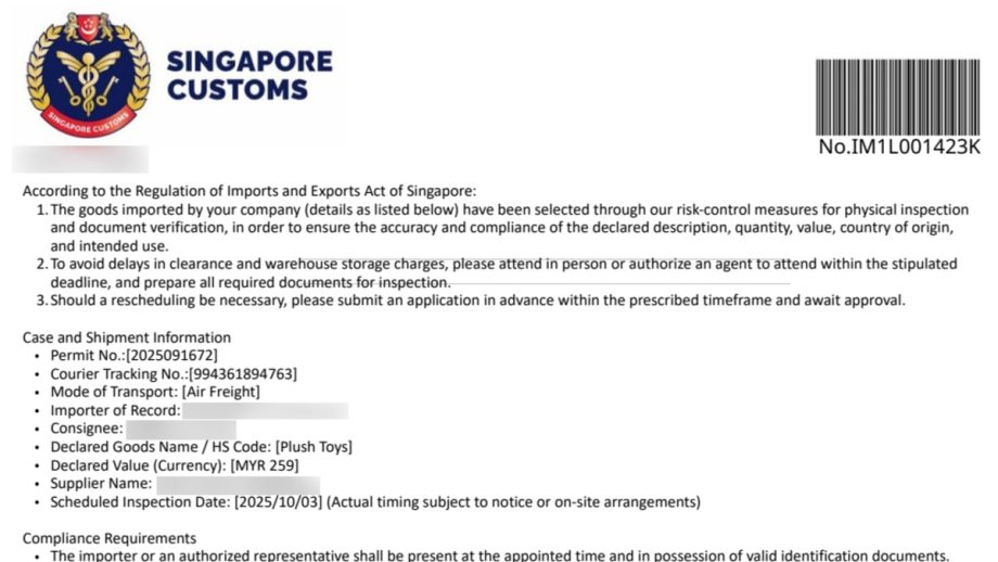 Singapore Customs warns of two new parcel scam variants