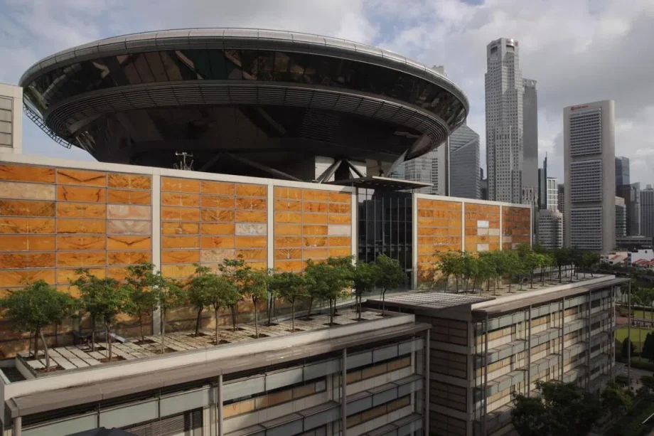 Woman challenging Singapore police’s decision ordered to deposit ,000 for potential legal costs