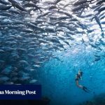Chinese tourists eye return trips for Visit Malaysia 2026: ‘hot weather, warm hospitality’