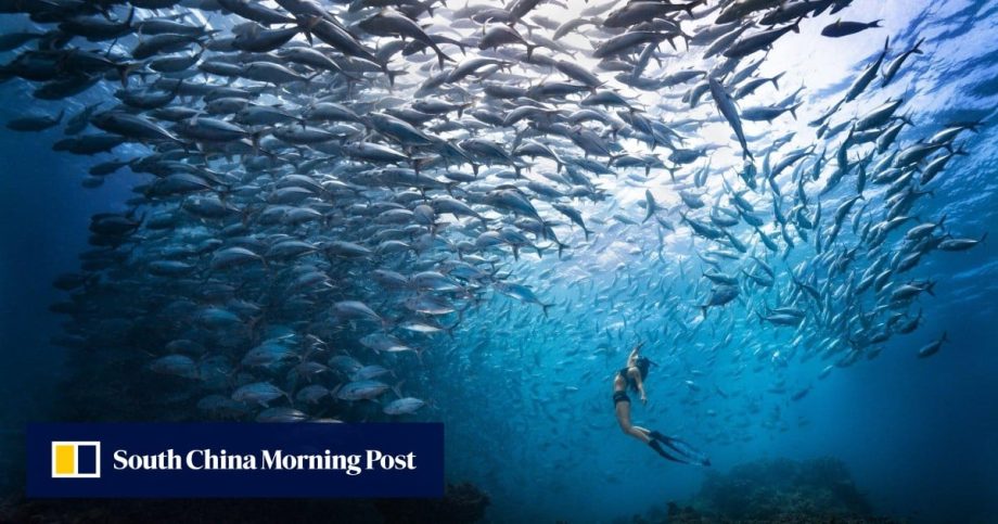 Chinese tourists eye return trips for Visit Malaysia 2026: ‘hot weather, warm hospitality’