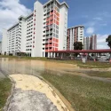 Pipe leak at AMK Ave 1 causes water to overflow into nearby petrol station: PUB
