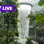 Jewel Changi Airport issues safety reminder after boy injured at walking net; Ruben Amorim sacked by Man United after losing power struggle over transfers: Singapore live news Jewel Changi Airport issues safety reminder after boy injured at walking net; Ruben Amorim sacked by Man United after losing power struggle over transfers: Singapore live news