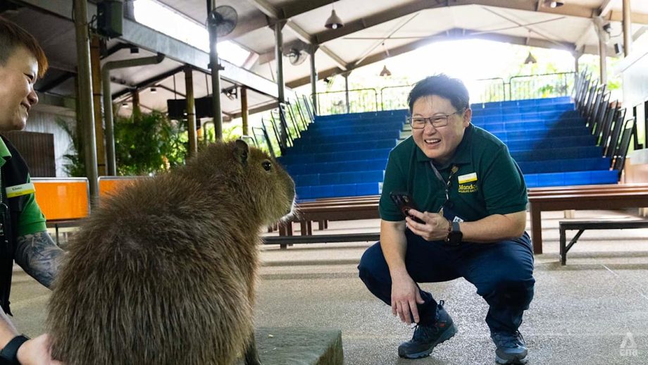 After nearly 3 decades on the job, this zoo veteran says ‘animals are so much smarter than people’