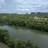Residents, nature advocates seek study amid bus depot works at Serangoon River forest