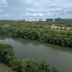 Residents, nature advocates seek study amid bus depot works at Serangoon River forest